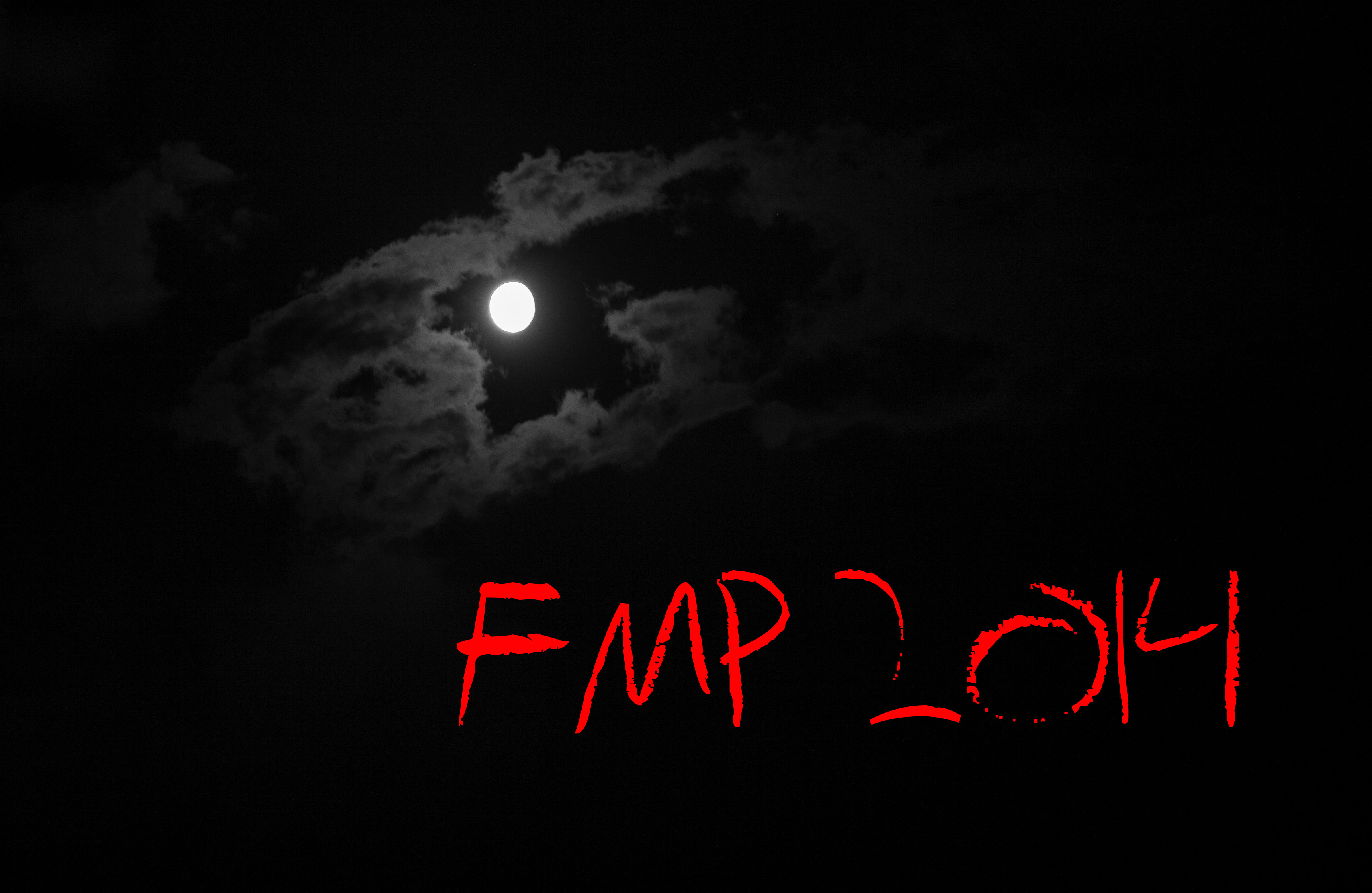 FMP 2014